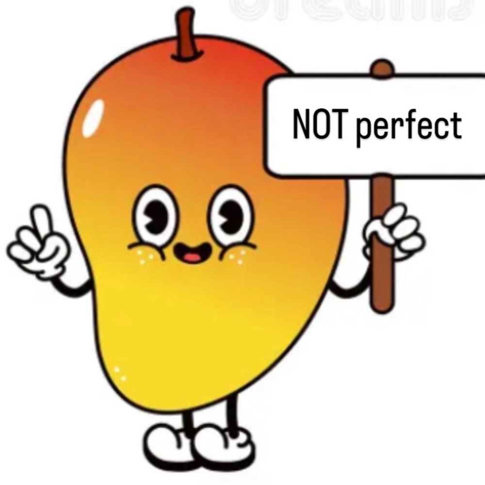 Unlisted 🚨NOT a perfect item 🚨for Mango’s show
